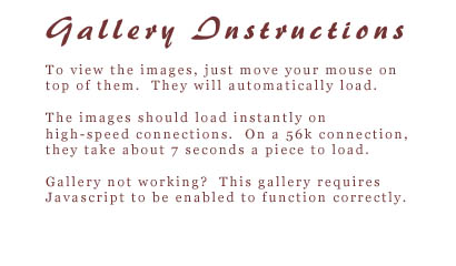 To view the images, just move your mouse on top of them. They will automatically load. The images should load instantly on high-speed connections.  On a 56k connection, they take about 7 seconds a piece to load. Gallery not working?  This gallery requires Javascript to be enabled to function correctly.